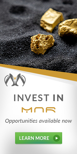 Invest in MNR Banner